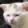 Manny's profile picture