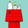 DimSum's profile picture