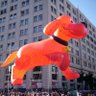 UpDog profil fotoğrafı
