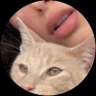 Aso 🤍's profile picture