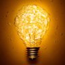 Фото профиля Light