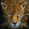 Esteban Orlando's profile picture