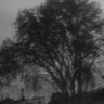 RATEdRr profil fotoğrafı