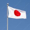 Profilbild von 🇯🇵ケンサク