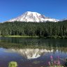 dmaninseattle 的头像