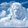 Josh Bernal's profile picture