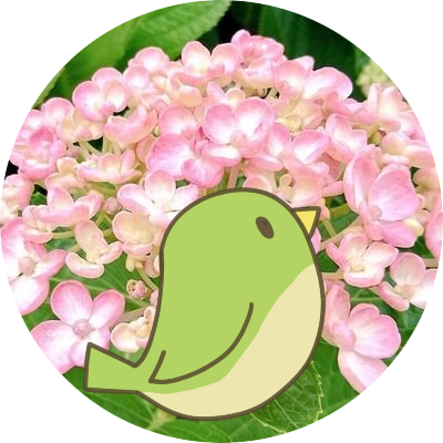 vt4uv6's profile picture