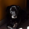 Buk's profile picture