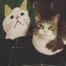 you ichiya ようかい🐰🖤's profile picture