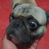 anastasioivan18@gmail.comanastasioivan18@gmail.com 的头像