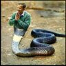 Manoj(Sachin)Sharma(Modi Ka Pariwar)'s profile picture