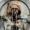 Profilbild von Trago Cravos