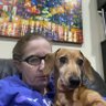 Carmel O'Brien's profile picture