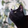 jay pee profil fotoğrafı