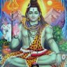 Profilbild von paliwal Trilok
