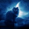 Profilbild von game over