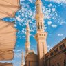 Profilbild von إخلاص