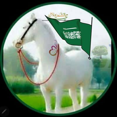 8lNl9's profile picture