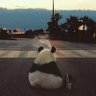 DeviJones profil fotoğrafı