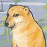 Profilbild von mzy