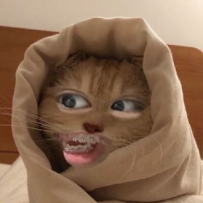 เมล่อนที่ชอบกินเมล่อนอ่ะ's profile picture