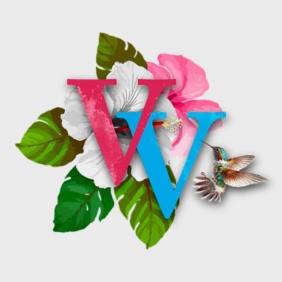 vayavacaciones's profile picture
