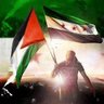 مصطفى الطويلي 的头像