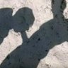 Diogo BH's profile picture