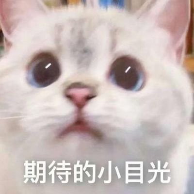 L2024188's profile picture