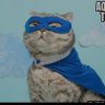 CYBER-KUROCHAN 😼 profil fotoğrafı