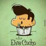 elviscochoooo's profile picture