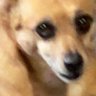 aven's profile picture