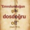 HÜSEYİN SEYYİDHANOĞLU's profile picture