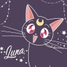 黒猫と🌙's profile picture
