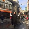 Profilbild von Merve Ersenöz Baggins🦅
