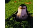 Le Eldi's profile picture