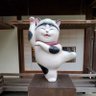 ザワシーノ's profile picture