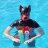 Profilbild von Pup Buddy