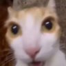Jax's profile picture