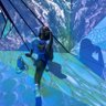 Фото профиля .Jαиє⋆Ꭰoє.•
