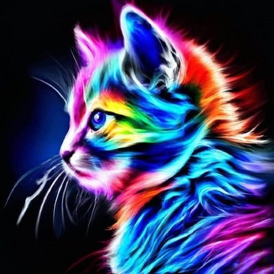 nyan_nfts's profile picture