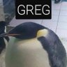Greg's profile picture
