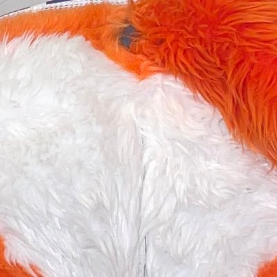 foxstank's profile picture
