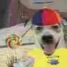 Jannas Bo 4.0's profile picture