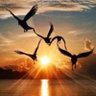divane profil fotoğrafı