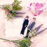 風無草🌱 ͛.* étranger/banquet profil fotoğrafı