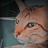 mr_samdhani profil fotoğrafı