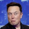 イーロン・マスク's profile picture