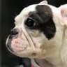 MIYO's profile picture