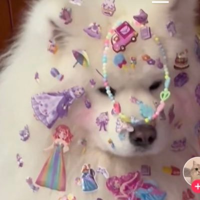 ซินดี้ chocokorn's profile picture